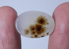 13ct Natural Dendritic Agate - Shajri Aqeeq - Dimension-17x12mm