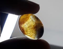 13ct Natural Dendritic Agate - Shajri Aqeeq - Dimension-18x13mm