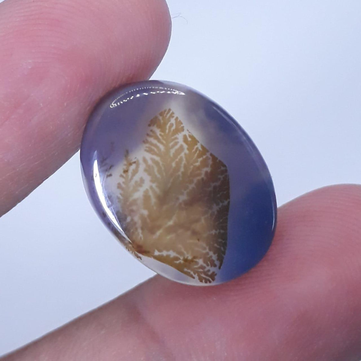 13ct Natural Dendritic Agate - Shajri Aqeeq - Dimension-18x13mm