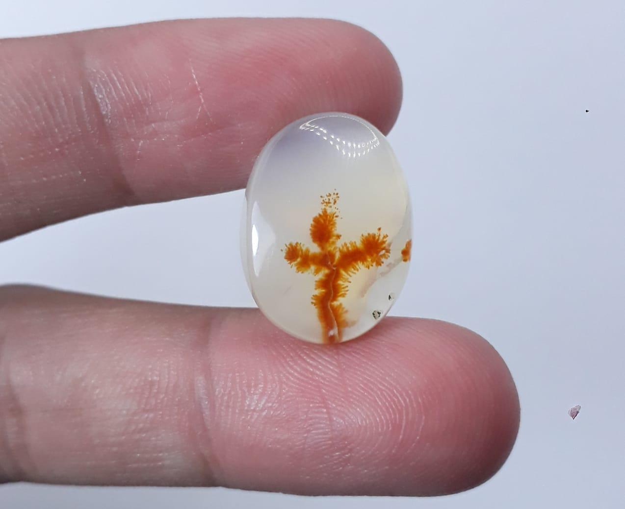 14.7ct Natural Dendritic Agate - Shajri Aqeeq - Dimension-18x13mm