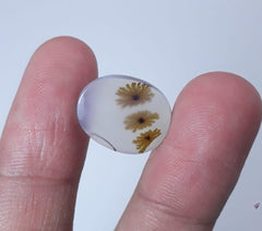 8.5ct Natural Dendritic Agate - Shajri Aqeeq - Dimension-15x12mm