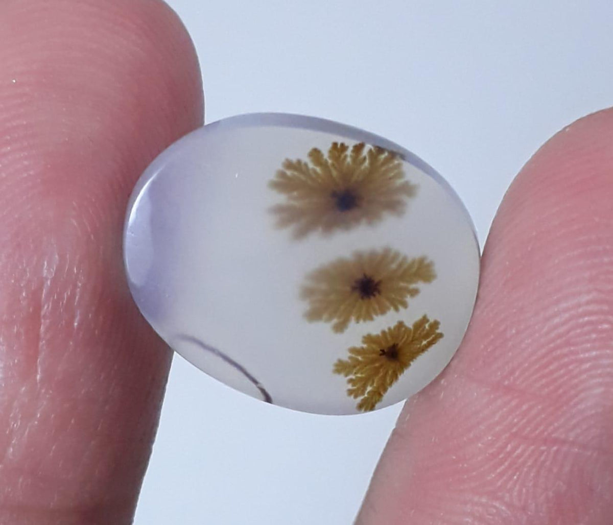 8.5ct Natural Dendritic Agate - Shajri Aqeeq - Dimension-15x12mm