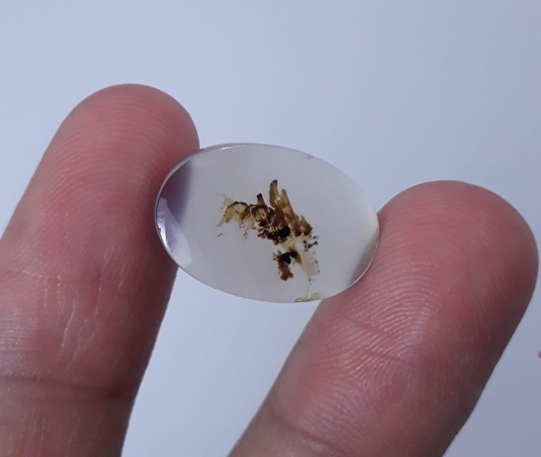 8.9ct Natural Dendritic Agate - Shajri Aqeeq - Dimension-18x12mm