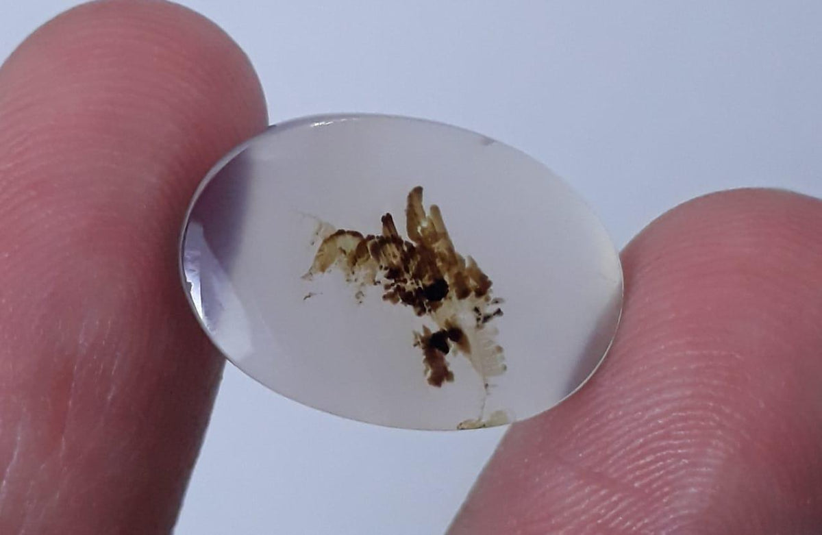 8.9ct Natural Dendritic Agate - Shajri Aqeeq - Dimension-18x12mm