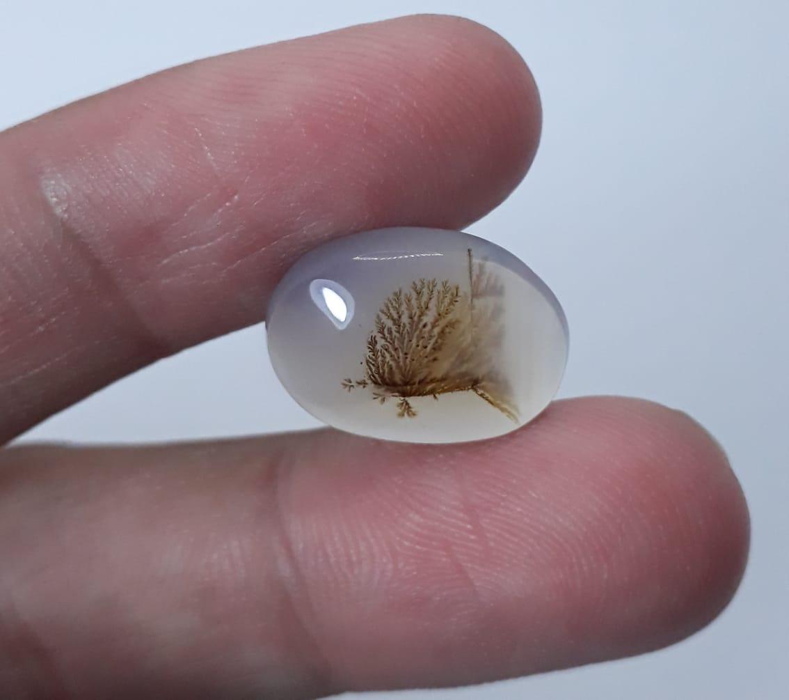 9.5ct Natural Dendritic Agate - Shajri Aqeeq - Dimension-16x11mm