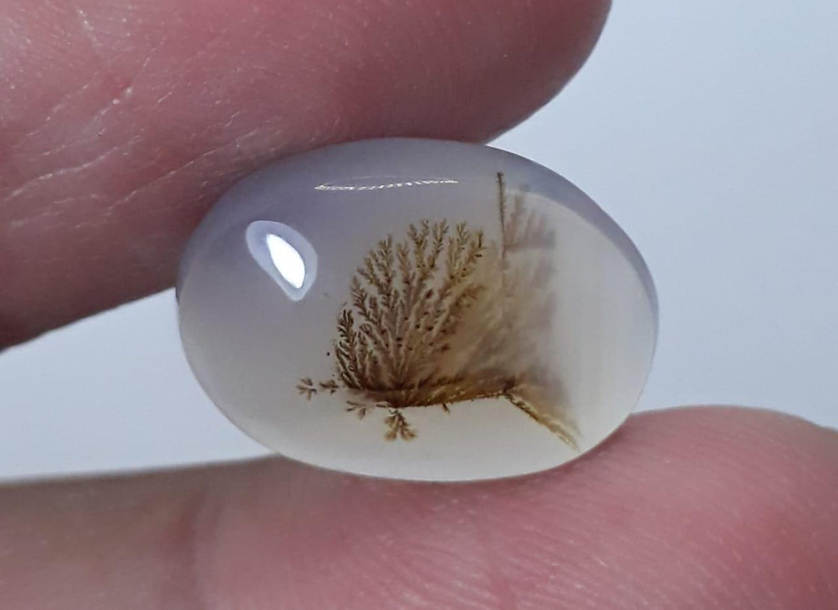 9.5ct Natural Dendritic Agate - Shajri Aqeeq - Dimension-16x11mm