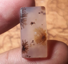 13.2ct Natural Dendritic Agate - Shajri Aqeeq - Dimension-22x11.4mm