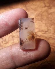 13.2ct Natural Dendritic Agate - Shajri Aqeeq - Dimension-22x11.4mm