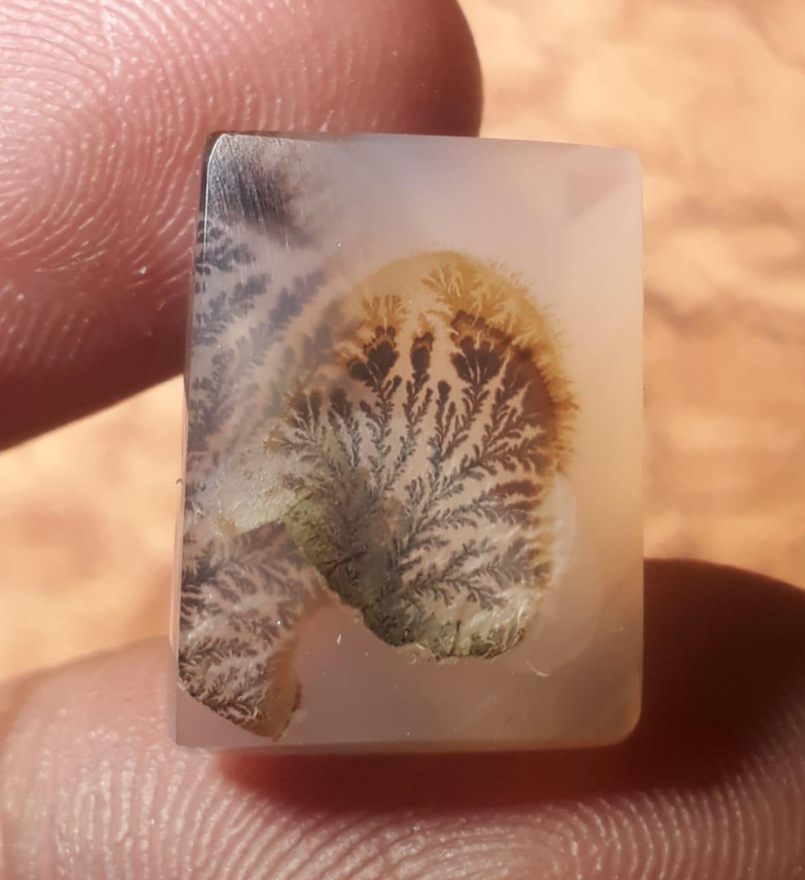 15.2ct Natural Dendritic Agate - Shajri Aqeeq - Dimension-18x13.4mm