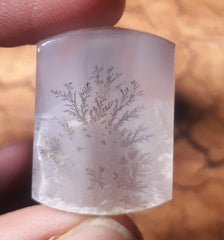 22.5ct Natural Dendritic Agate - Shajri Aqeeq - Dimension-20.8x15.6mm