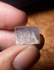 5.7ct Natural Dendritic Agate - Shajri Aqeeq - Dimension-13.3x9.4mm