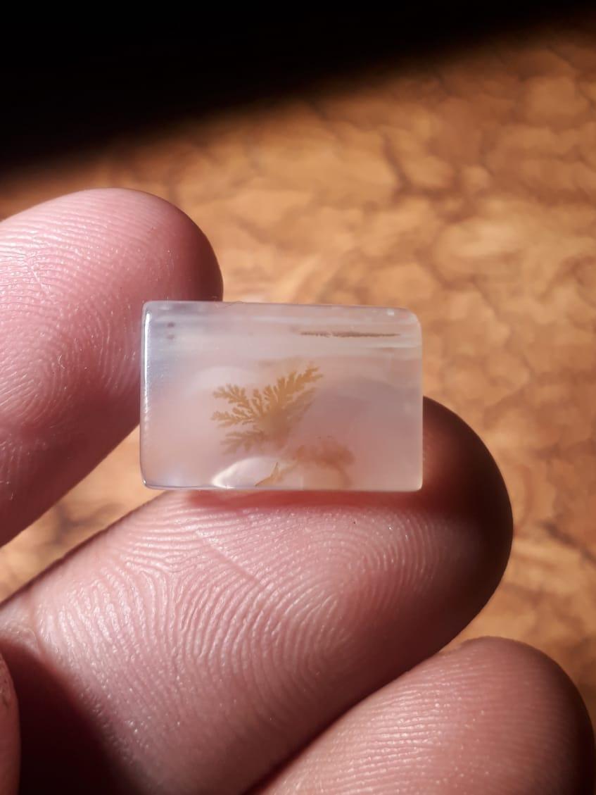 7.1ct Natural Dendritic Agate - Shajri Aqeeq - Dimension-16x10.8mm