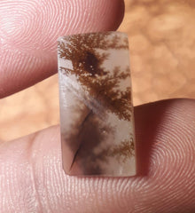 6.5ct Natural Dendritic Agate - Shajri Aqeeq - Dimension-18.5x9.5mm