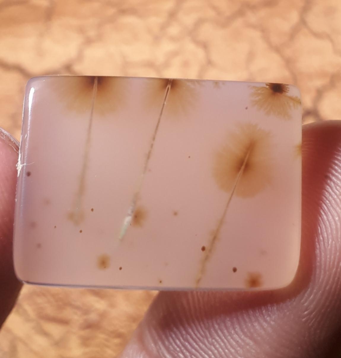 22.7ct Natural Dendritic Agate - Shajri Aqeeq - Dimension-24x18.5mm