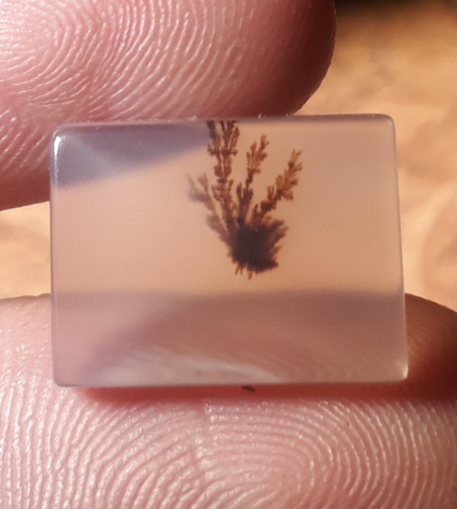 6.5ct Natural Dendritic Agate - Shajri Aqeeq - Dimension-16x11.8mm