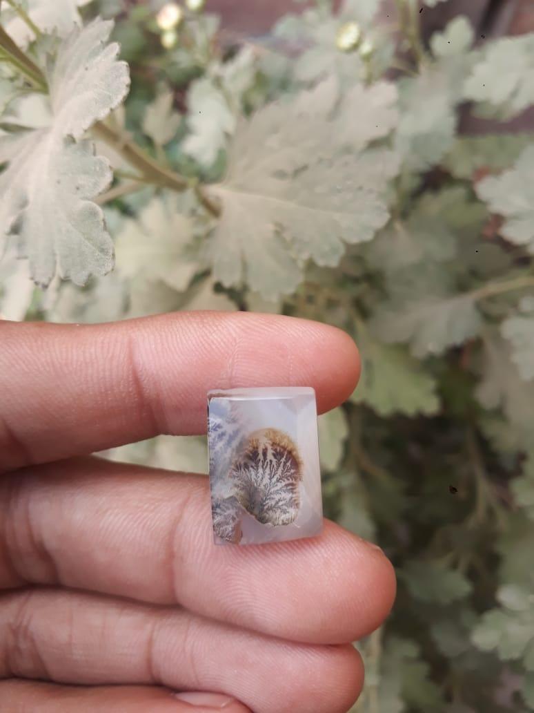 15.2ct Natural Dendritic Agate - Shajri Aqeeq - Dimension-18x13.4mm