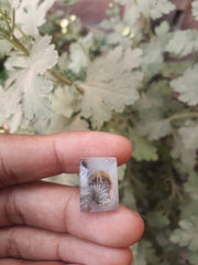 15.2ct Natural Dendritic Agate - Shajri Aqeeq - Dimension-18x13.4mm