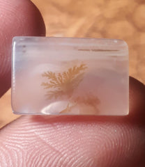 7.1ct Natural Dendritic Agate - Shajri Aqeeq - Dimension-16x10.8mm