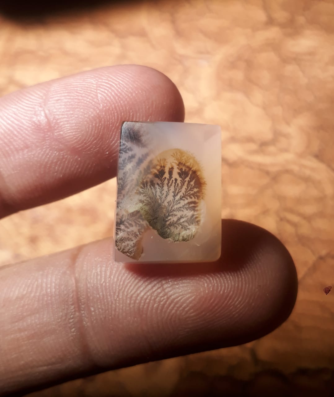 15.2ct Natural Dendritic Agate - Shajri Aqeeq - Dimension-18x13.4mm