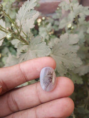 8ct Natural Dendritic Agate - Shajri Aqeeq - Dimension-18x12.2mm