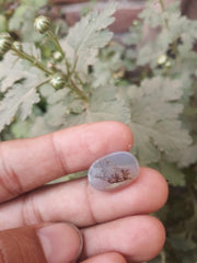 8ct Natural Dendritic Agate - Shajri Aqeeq - Dimension-18x12.2mm