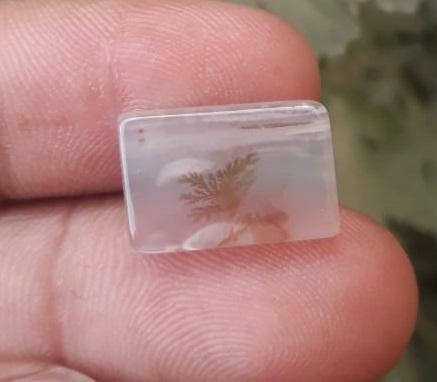 7.1ct Natural Dendritic Agate - Shajri Aqeeq - Dimension-16x10.8mm