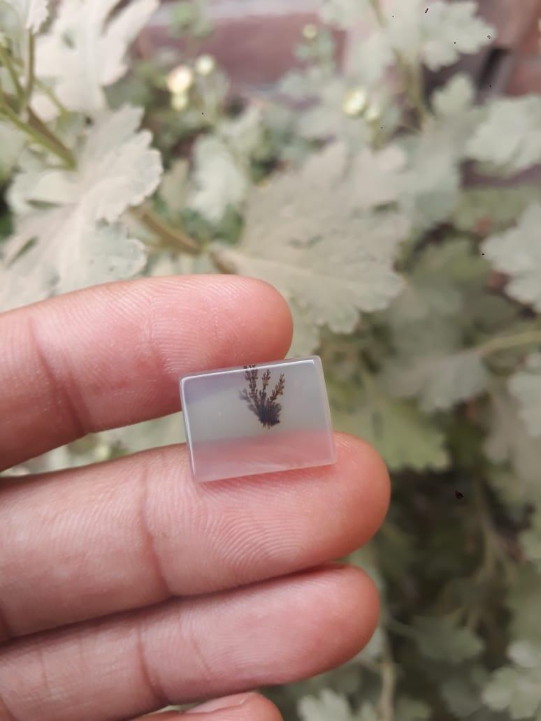 6.5ct Natural Dendritic Agate - Shajri Aqeeq - Dimension-16x11.8mm