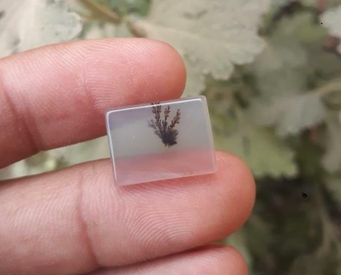 6.5ct Natural Dendritic Agate - Shajri Aqeeq - Dimension-16x11.8mm