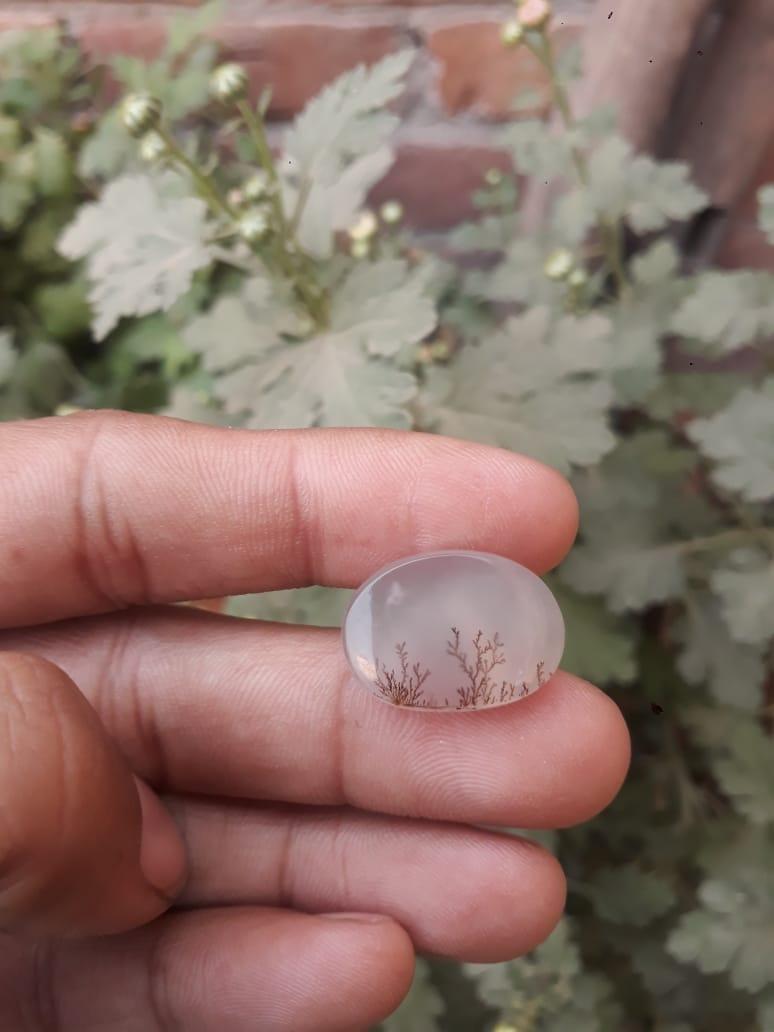 15.7ct Natural Dendritic Agate - Shajri Aqeeq - Dimension-21x15mm