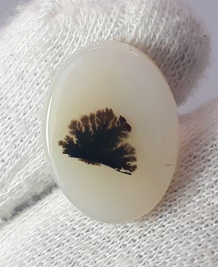 12.7ct Natural Dendritic Agate - Shajri Aqeeq - Dimension-20x15mm