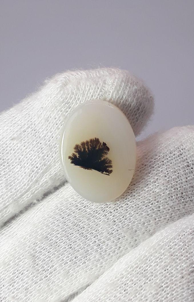 12.7ct Natural Dendritic Agate - Shajri Aqeeq - Dimension-20x15mm