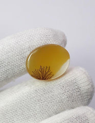 14.8ct Natural Dendritic Agate - Shajri Aqeeq - Dimension-21x17mm