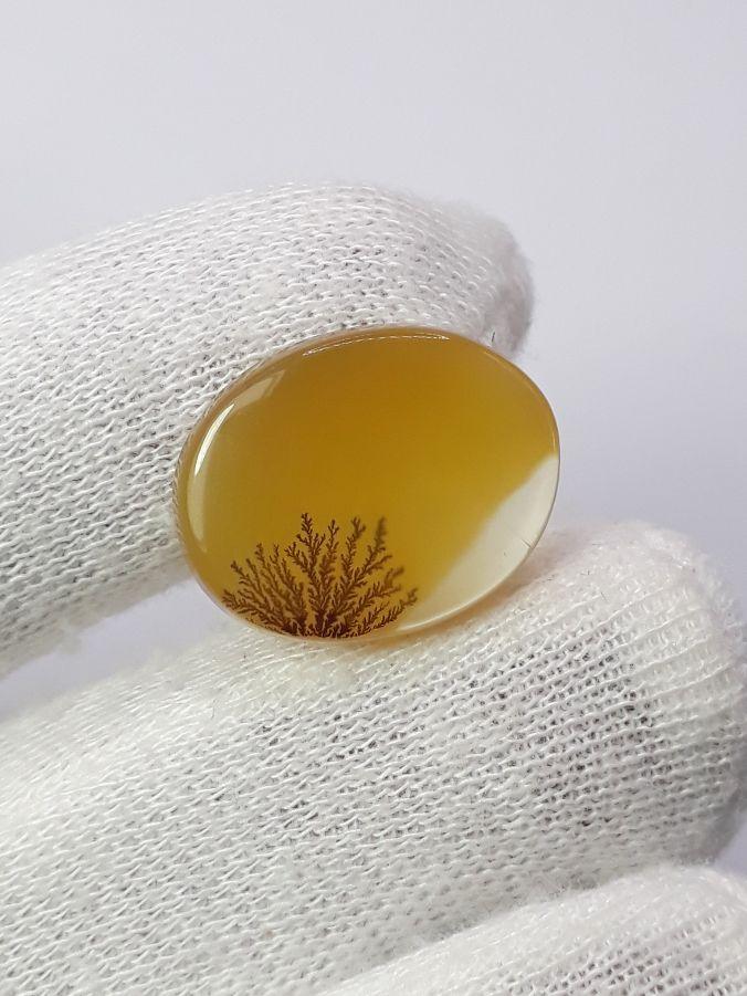 14.8ct Natural Dendritic Agate - Shajri Aqeeq - Dimension-21x17mm