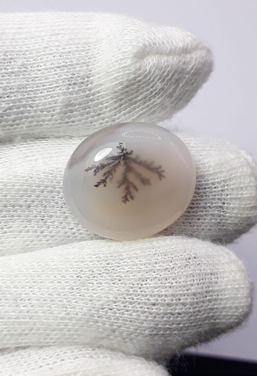 16.8ct Natural Dendritic Agate - Shajri Aqeeq - Dimension-20x18mm