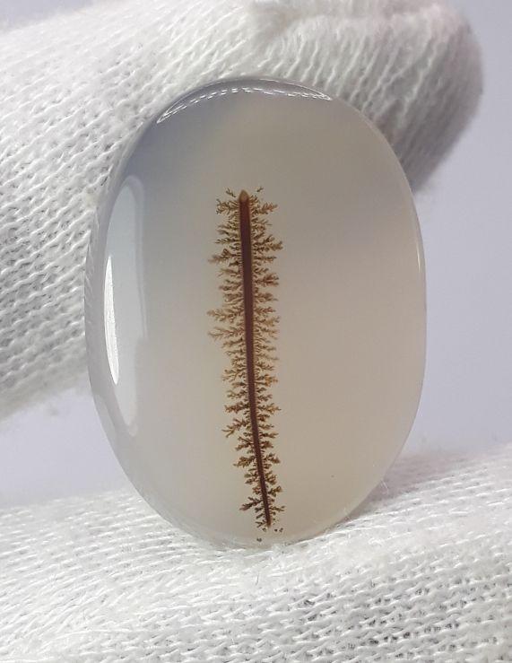 22.1ct Natural Dendritic Agate - Shajri Aqeeq - Dimension-26x18mm