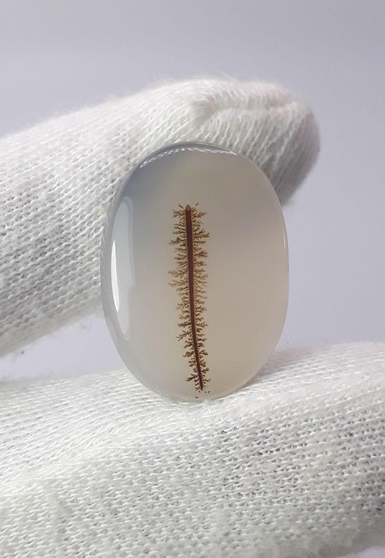 22.1ct Natural Dendritic Agate - Shajri Aqeeq - Dimension-26x18mm