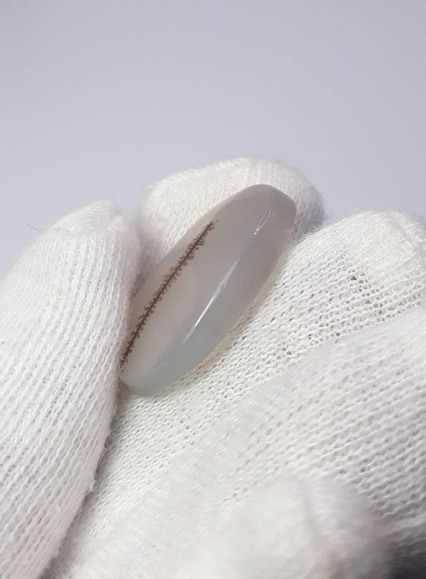 22.1ct Natural Dendritic Agate - Shajri Aqeeq - Dimension-26x18mm