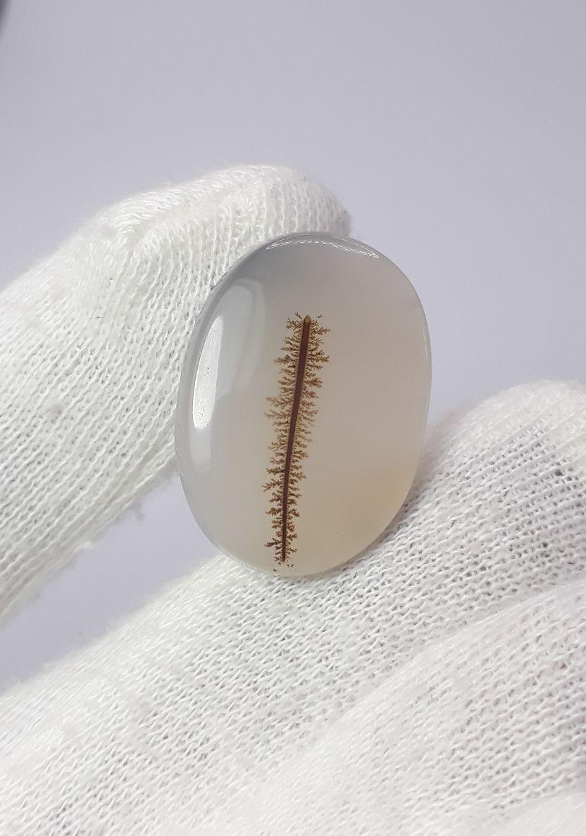 22.1ct Natural Dendritic Agate - Shajri Aqeeq - Dimension-26x18mm