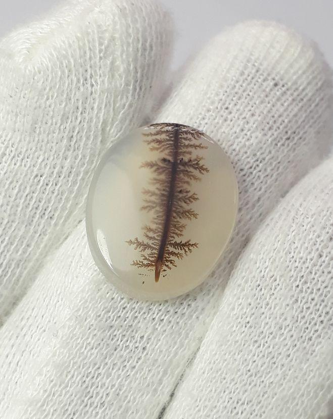 10.8ct Natural Dendritic Agate - Shajri Aqeeq - Dimension-19x16mm