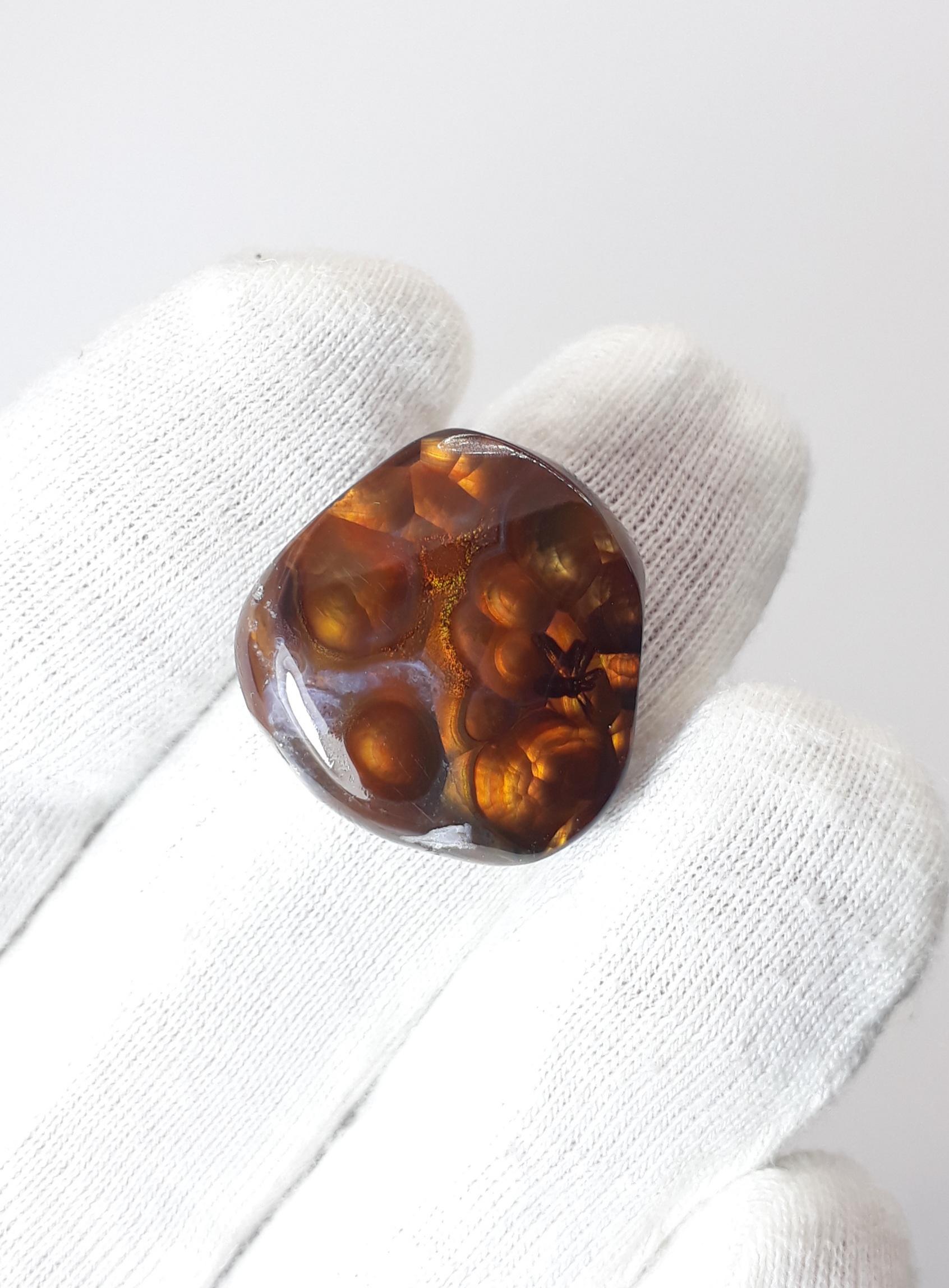 Rare Mexican Fire Agate Cabochon with Seginite