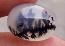 6ct Natural Dendritic Agate - Shajri Aqeeq