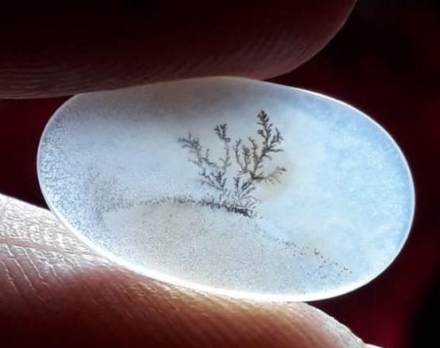 2.5ct-Natural Dendritic Agate - Shajri Aqeeq -18x11mm