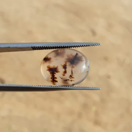 6.7ct Natural Dendritic Agate - Shajri Aqeeq -16x13mm