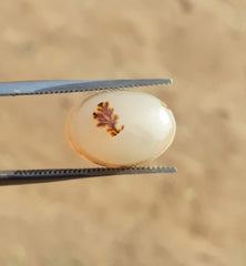 8.6ct Natural Dendritic Agate - Shajri Aqeeq -15x11mm