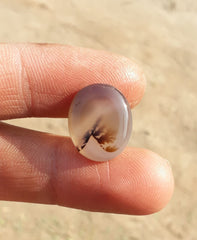 7.3ct Natural Dendritic Agate - Shajri Aqeeq -18x16mm