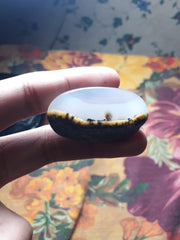 103ct Natural Dendritic Agate - Shajri Aqeeq -47x26mm