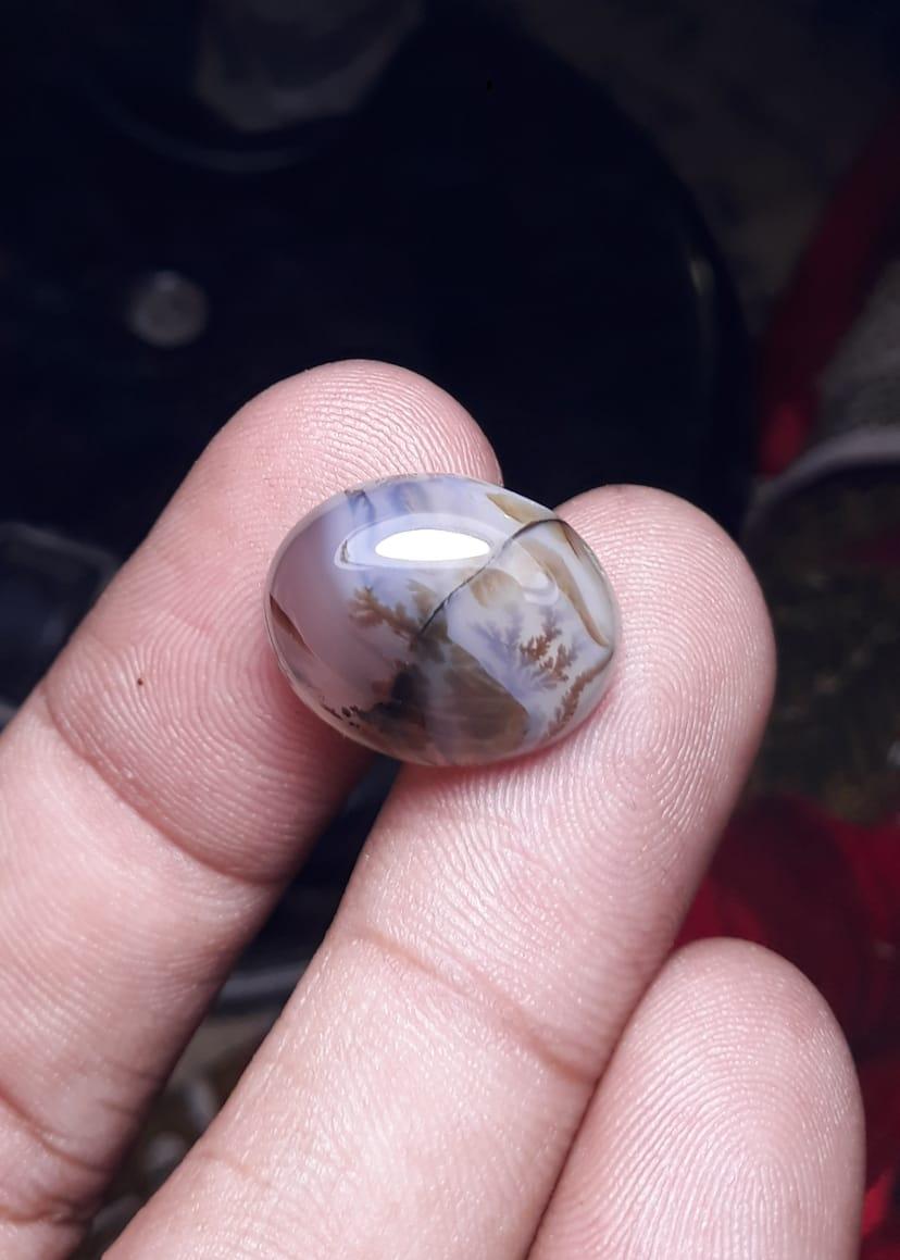 10.8ct Natural Dendritic Agate - Shajri Aqeeq -19x15mm