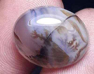 10.8ct Natural Dendritic Agate - Shajri Aqeeq -19x15mm