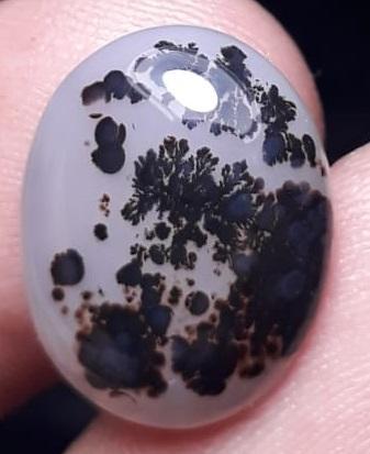 8.8ct Natural Dendritic Agate - Shajri Aqeeq -15x11mm