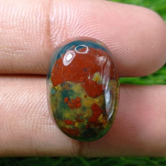 31.8 克拉高品质血石 - 天芥菜 - Hajr-ul-Dam-23x15mm